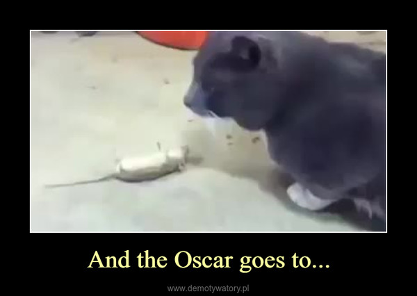 And the Oscar goes to... –  