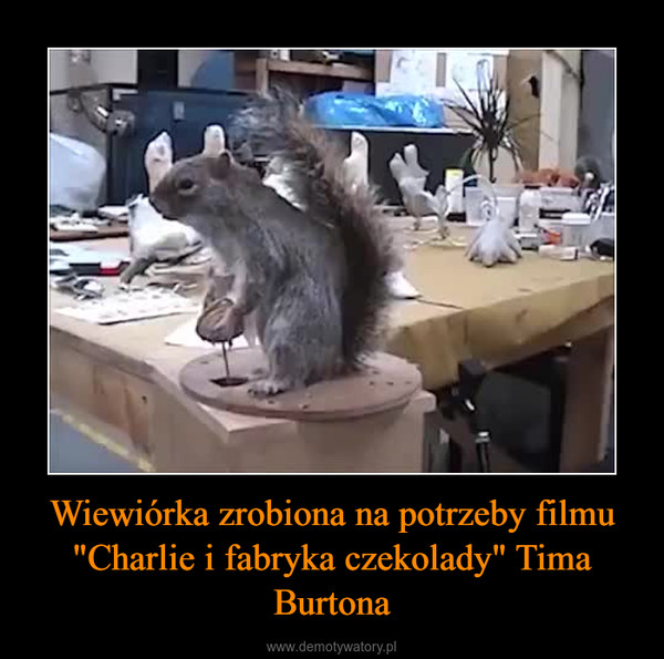 Wiewiórka zrobiona na potrzeby filmu "Charlie i fabryka czekolady" Tima Burtona –  