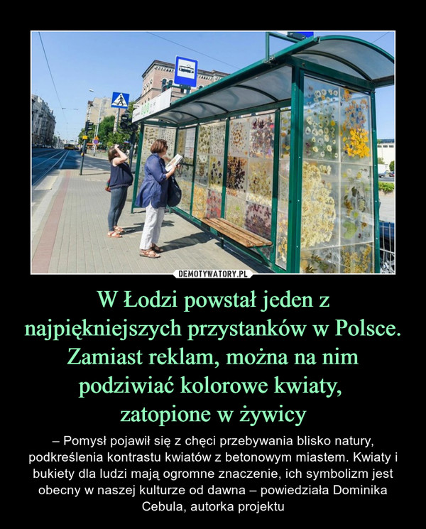 W Łodzi powstał jeden z najpiękniejszych przystanków w Polsce. Zamiast reklam, można na nim podziwiać kolorowe kwiaty, 
zatopione w żywicy