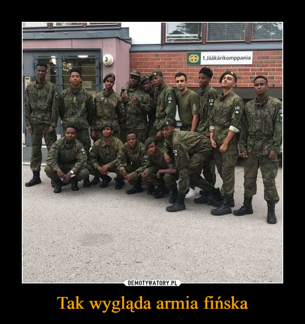 Tak wygląda armia fińska –  