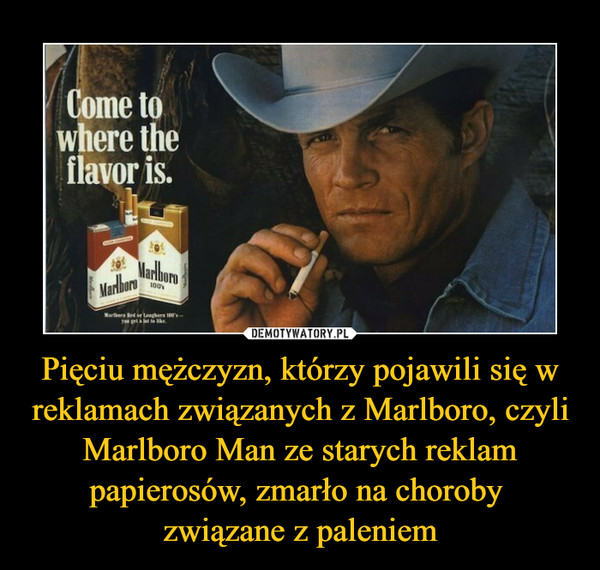 Pięciu mężczyzn, którzy pojawili się w reklamach związanych z Marlboro, czyli Marlboro Man ze starych reklam papierosów, zmarło na choroby 
związane z paleniem