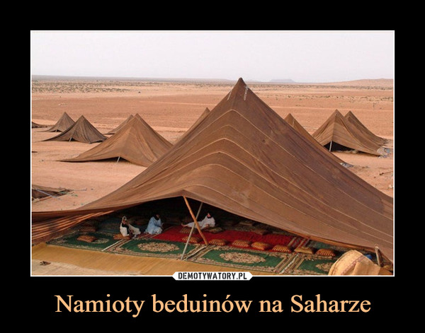 Namioty beduinów na Saharze –  