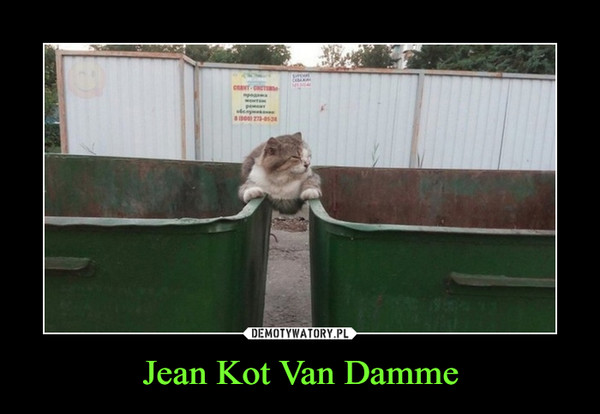 Jean Kot Van Damme –  