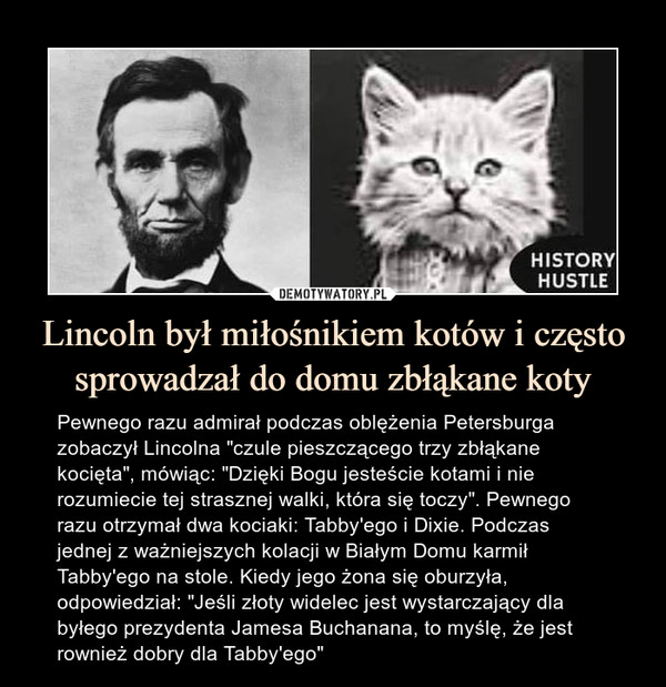 Lincoln był miłośnikiem kotów i często sprowadzał do domu zbłąkane koty – Pewnego razu admirał podczas oblężenia Petersburga zobaczył Lincolna "czule pieszczącego trzy zbłąkane kocięta", mówiąc: "Dzięki Bogu jesteście kotami i nie rozumiecie tej strasznej walki, która się toczy". Pewnego razu otrzymał dwa kociaki: Tabby'ego i Dixie. Podczas jednej z ważniejszych kolacji w Białym Domu karmił Tabby'ego na stole. Kiedy jego żona się oburzyła, odpowiedział: "Jeśli złoty widelec jest wystarczający dla byłego prezydenta Jamesa Buchanana, to myślę, że jest rownież dobry dla Tabby'ego" 