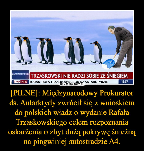 [PILNE]: Międzynarodowy Prokurator ds. Antarktydy zwrócił się z wnioskiem do polskich władz o wydanie Rafała Trzaskowskiego celem rozpoznania oskarżenia o zbyt dużą pokrywę śnieżną na pingwiniej autostradzie A4.