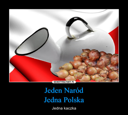 Jeden Naród
Jedna Polska