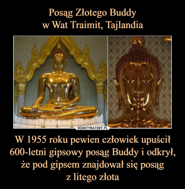 W 1955 roku pewien człowiek upuścił 600-letni gipsowy posąg Buddy i odkrył, że pod gipsem znajdował się posągz litego złota –  