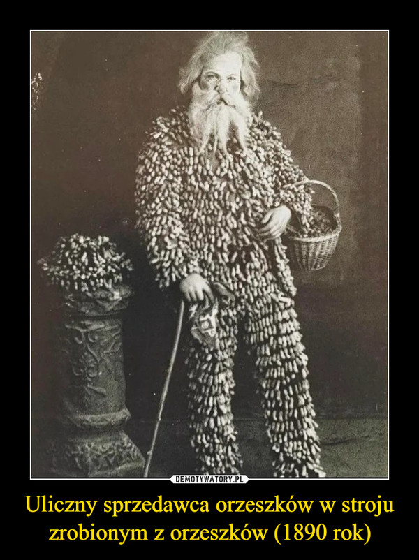 Uliczny sprzedawca orzeszków w stroju zrobionym z orzeszków (1890 rok) –  