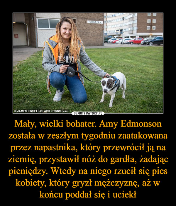 Mały, wielki bohater. Amy Edmonson została w zeszłym tygodniu zaatakowana przez napastnika, który przewrócił ją na ziemię, przystawił nóż do gardła, żadając pieniędzy. Wtedy na niego rzucił się pies kobiety, który gryzł mężczyznę, aż w końcu poddał się i uciekł –  