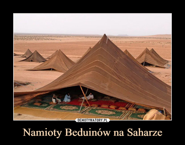 Namioty Beduinów na Saharze