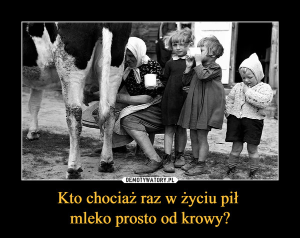 Kto chociaż raz w życiu pił mleko prosto od krowy? –  