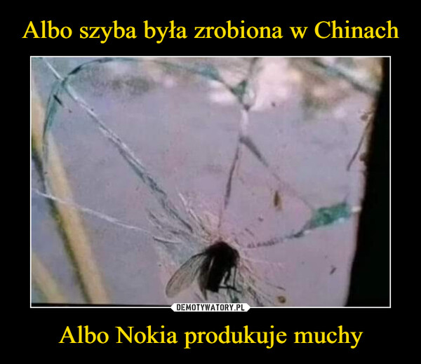 Albo Nokia produkuje muchy –  