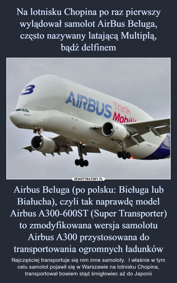 Na lotnisku Chopina po raz pierwszy wylądował samolot AirBus Beluga, często nazywany latającą Multiplą,
bądź delfinem Airbus Beluga (po polsku: Bieługa lub Białucha), czyli tak naprawdę model Airbus A300-600ST (Super Transporter) to zmodyfikowana wersja samolotu Airbus A300 przystosowana do transportowania ogromnych ładunków