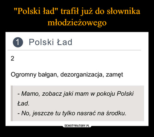 "Polski ład" trafił już do słownika młodzieżowego