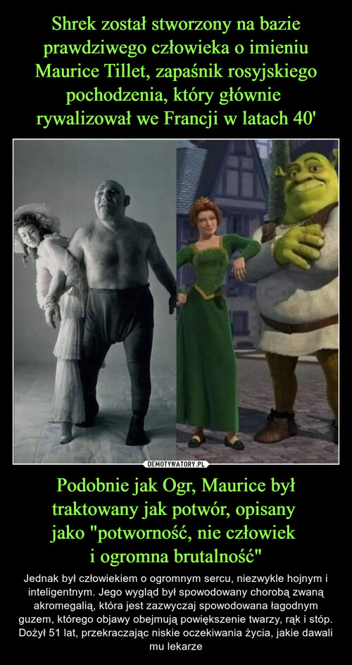 Shrek został stworzony na bazie prawdziwego człowieka o imieniu Maurice Tillet, zapaśnik rosyjskiego pochodzenia, który głównie 
rywalizował we Francji w latach 40' Podobnie jak Ogr, Maurice był traktowany jak potwór, opisany 
jako "potworność, nie człowiek 
i ogromna brutalność"