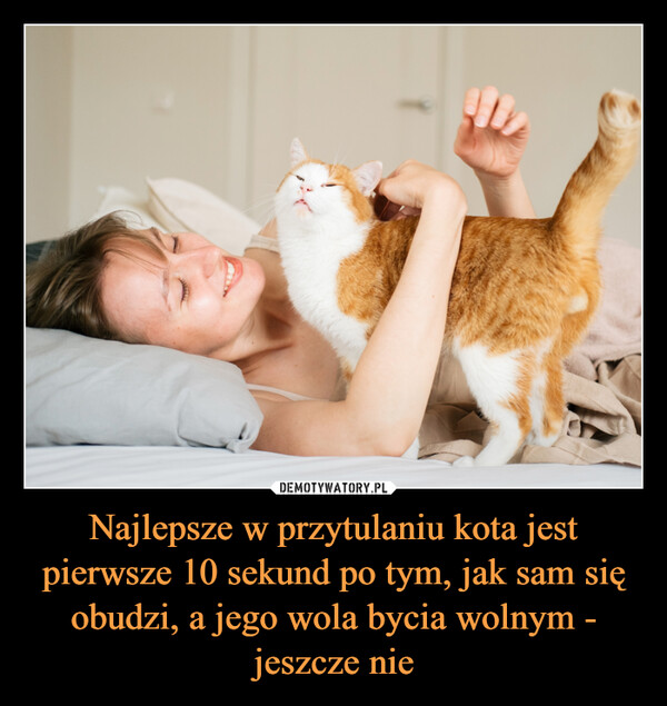 Najlepsze w przytulaniu kota jest pierwsze 10 sekund po tym, jak sam się obudzi, a jego wola bycia wolnym - jeszcze nie –  