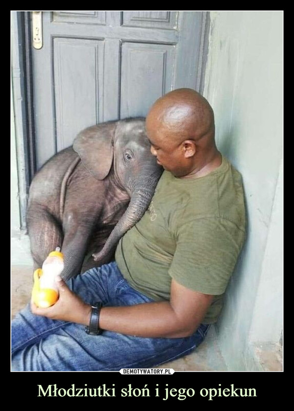 Młodziutki słoń i jego opiekun –  