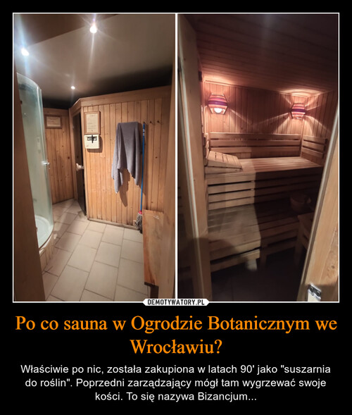 Po co sauna w Ogrodzie Botanicznym we Wrocławiu?