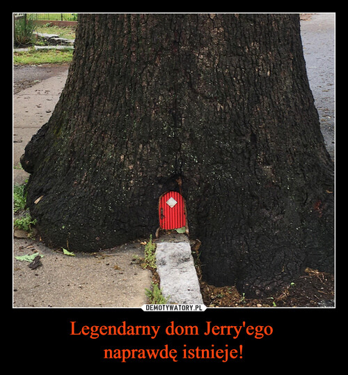 Legendarny dom Jerry'ego 
naprawdę istnieje!