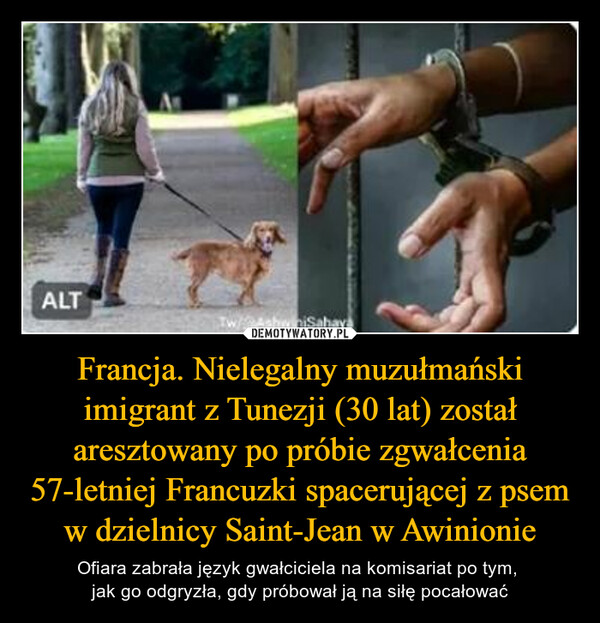 Francja. Nielegalny muzułmański imigrant z Tunezji (30 lat) został aresztowany po próbie zgwałcenia 57-letniej Francuzki spacerującej z psem w dzielnicy Saint-Jean w Awinionie – Ofiara zabrała język gwałciciela na komisariat po tym, jak go odgryzła, gdy próbował ją na siłę pocałować ALTTw/AshwiniSahaya