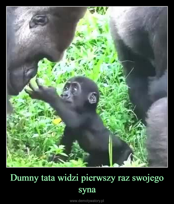 Dumny tata widzi pierwszy raz swojego syna –  