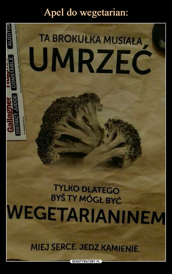  –  MIEJ SERCE. JEDZ KAMIENIE.WEGETARIANINEMBYŚ TY MÓGŁ BYĆTYLKO DLATEGOGallagherDISTRICT JUDGEwww.amCONSTABLEAUDITORPaid for by the Session Township Republican ExecutiveMae Brill CUMRZEĆTA BROKUŁKA MUSIAŁA