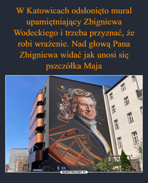 W Katowicach odsłonięto mural upamiętniający Zbigniewa Wodeckiego i trzeba przyznać, że robi wrażenie. Nad głową Pana Zbigniewa widać jak unosi się pszczółka Maja