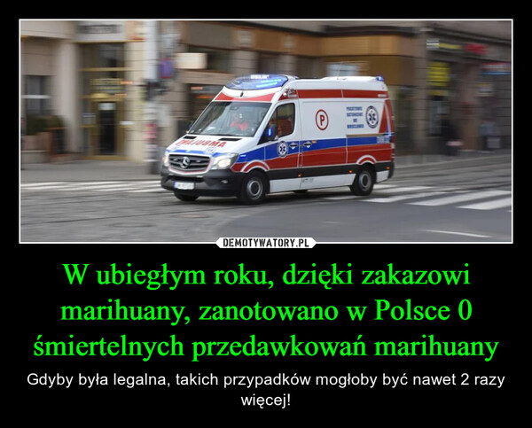 W ubiegłym roku, dzięki zakazowi marihuany, zanotowano w Polsce 0 śmiertelnych przedawkowań marihuany