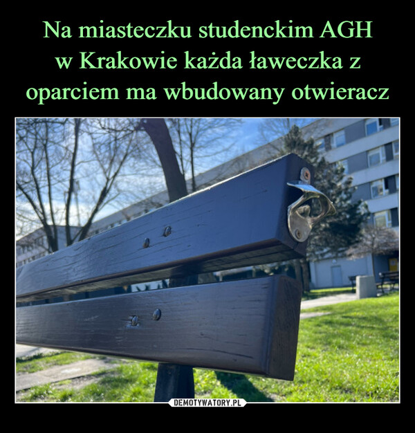 Na miasteczku studenckim AGH
w Krakowie każda ławeczka z oparciem ma wbudowany otwieracz